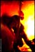 WildDon_041217_02_18