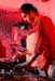 WildDon_061013_2576_#3B6E17