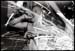 WildDon_910614_03_26
