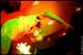 WildDon_980424_01_11_06