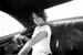 WildDon_801010_382_27bwCrop