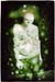 WildDon_920710_00_40_print