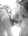 WildDon_950618_08_30Acrop