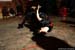 WildDon_061217_7773