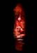 WildDon_030510_03_04_12